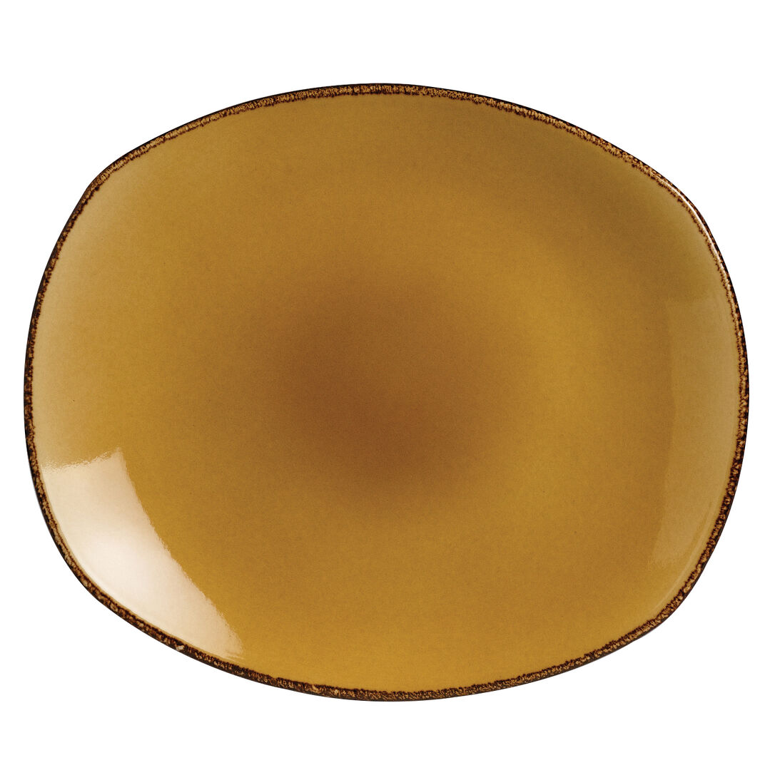 Terramesa Mustard Spice Plate 25.5cm (10"") Ceramic Plate Tableware Pack Of 24