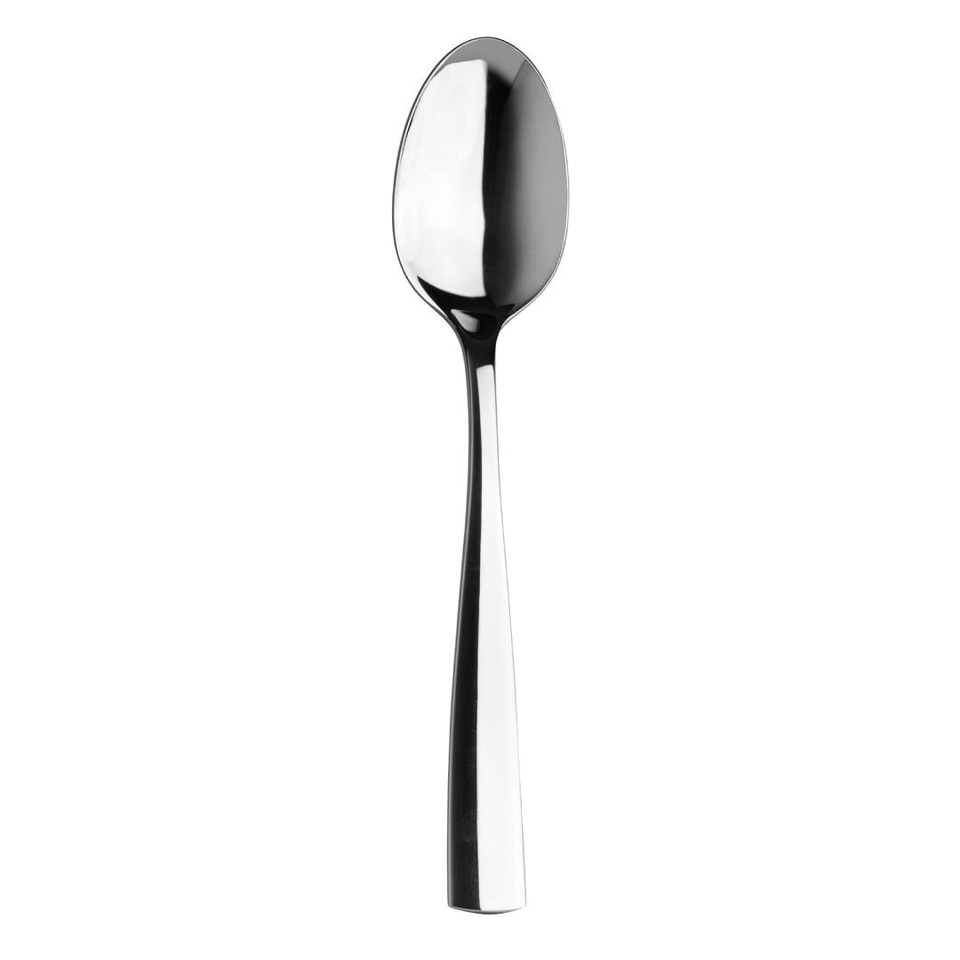 Bryce Long Serving Spoon 27.3cm (10 3/4"") Stainless Steel Tableware Pack of 12
