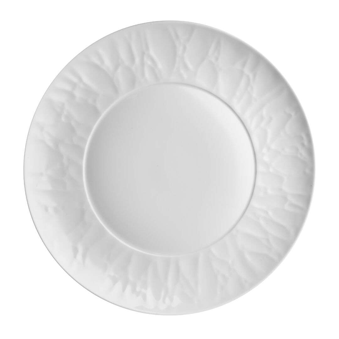 Atelier Signature Plate 27.9cm Well 17.1cm Porcelain Plate Tableware Pack of 12