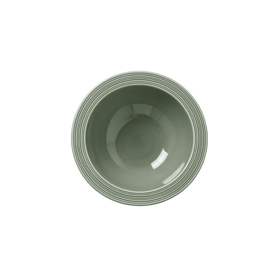 Concorde Fern Oatmeal Bowl 16.5cm 34cl Porcelain Bowl Tableware Pack of 12