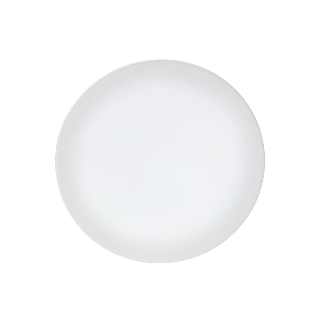 Frost Snipe Plate 22cm (8 3/4"") Ceramic Serving Plate Set Tableware Pack of 12
