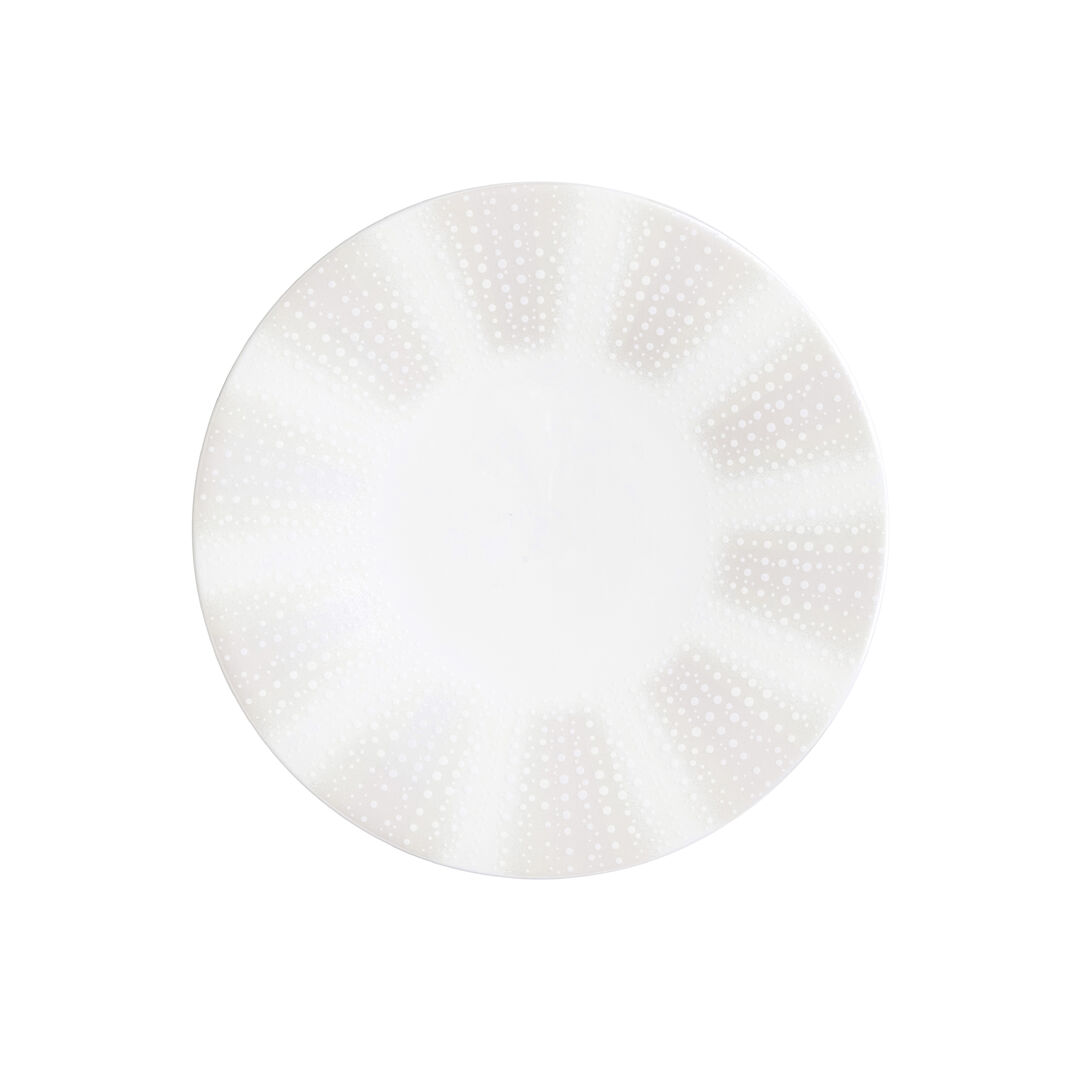 Quill Snipe Plate 22cm (8 3/4"") Ceramic Serving Plate Set Tableware Pack of 12