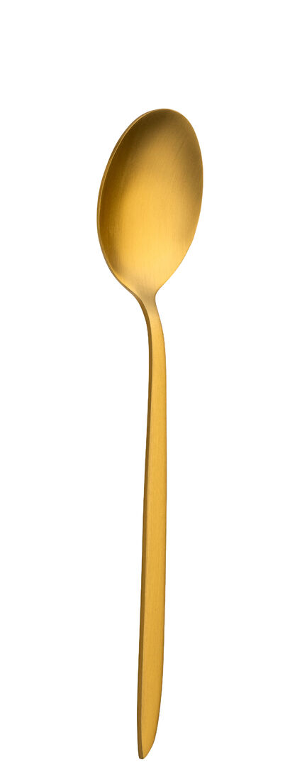 Orca Matt Gold  Dessert Spoon Stainless steel cutlery Tableware Pack of 12