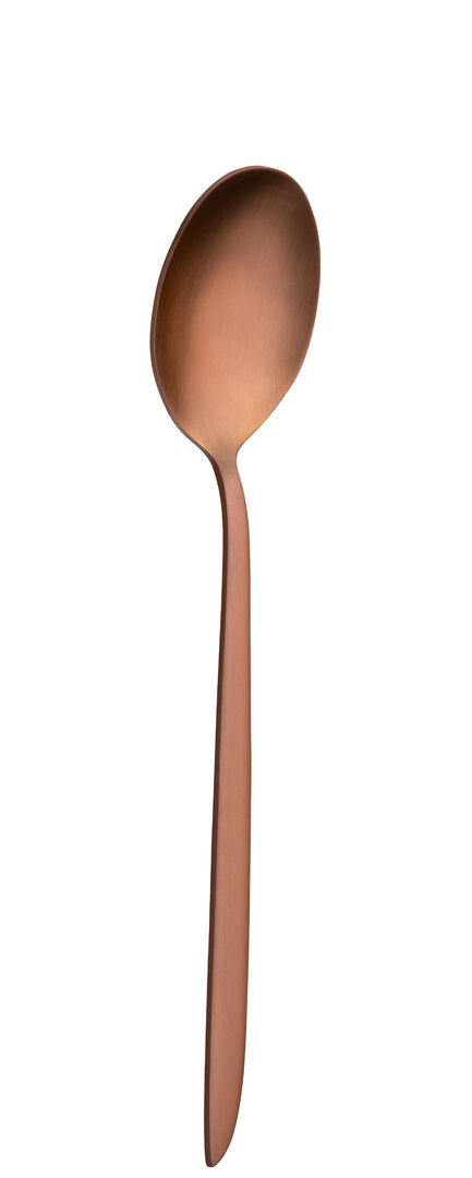 Orca Matt Copper Dessert Spoon Stainless steel cutlery Tableware Pack of 12