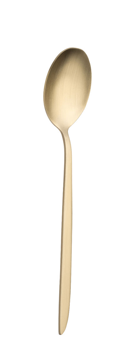 Orca Matt Champagne Dessert Spoon Stainless steel cutlery Tableware Pack of 12