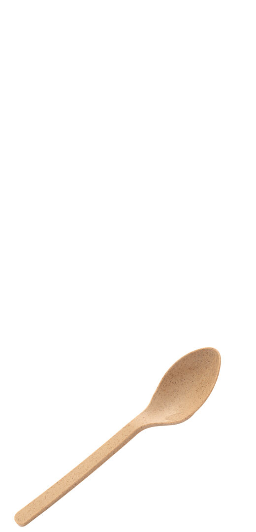 Agave Teaspoon 6"" (15cm) Cutlery Tableware Spoon Set - 4 Packs of Box of 250