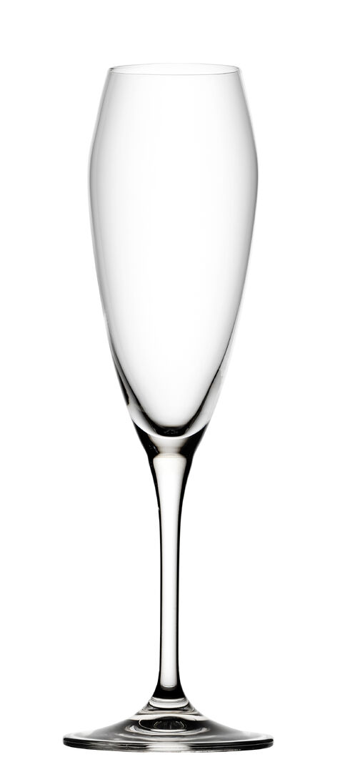 Bravissimo Flute 8.5oz (24cl) Drinking Champagne Flute Glassware Pack of 6