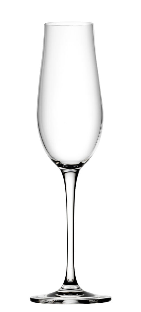 Tigris Flute 8.25oz (23.5cl) Drinking Champagne Glass Flute Glassware Pack of 6