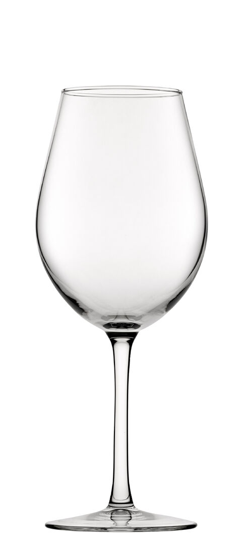 FT Degustacion Goblet 10.75 oz (31cl) Clear Drinking Bar Glassware Pack of 6
